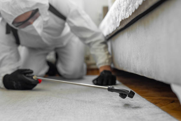 Professional Termite Control technician working in Waskom, TX