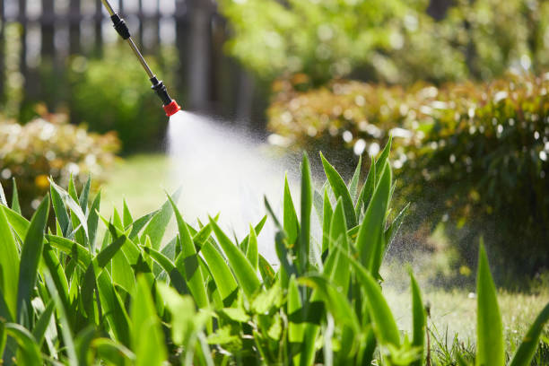24/7 Emergency Termite Control experts in Waskom, TX