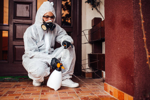 Reliable Termite Control contractor in Waskom, TX by Nex Pest Control