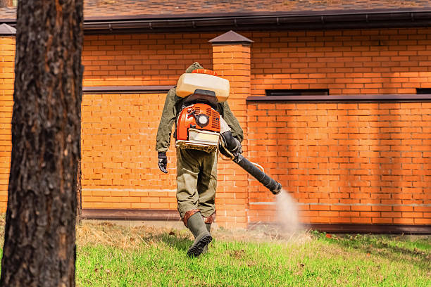 Top rated local Termite Control specialists in Waskom, TX